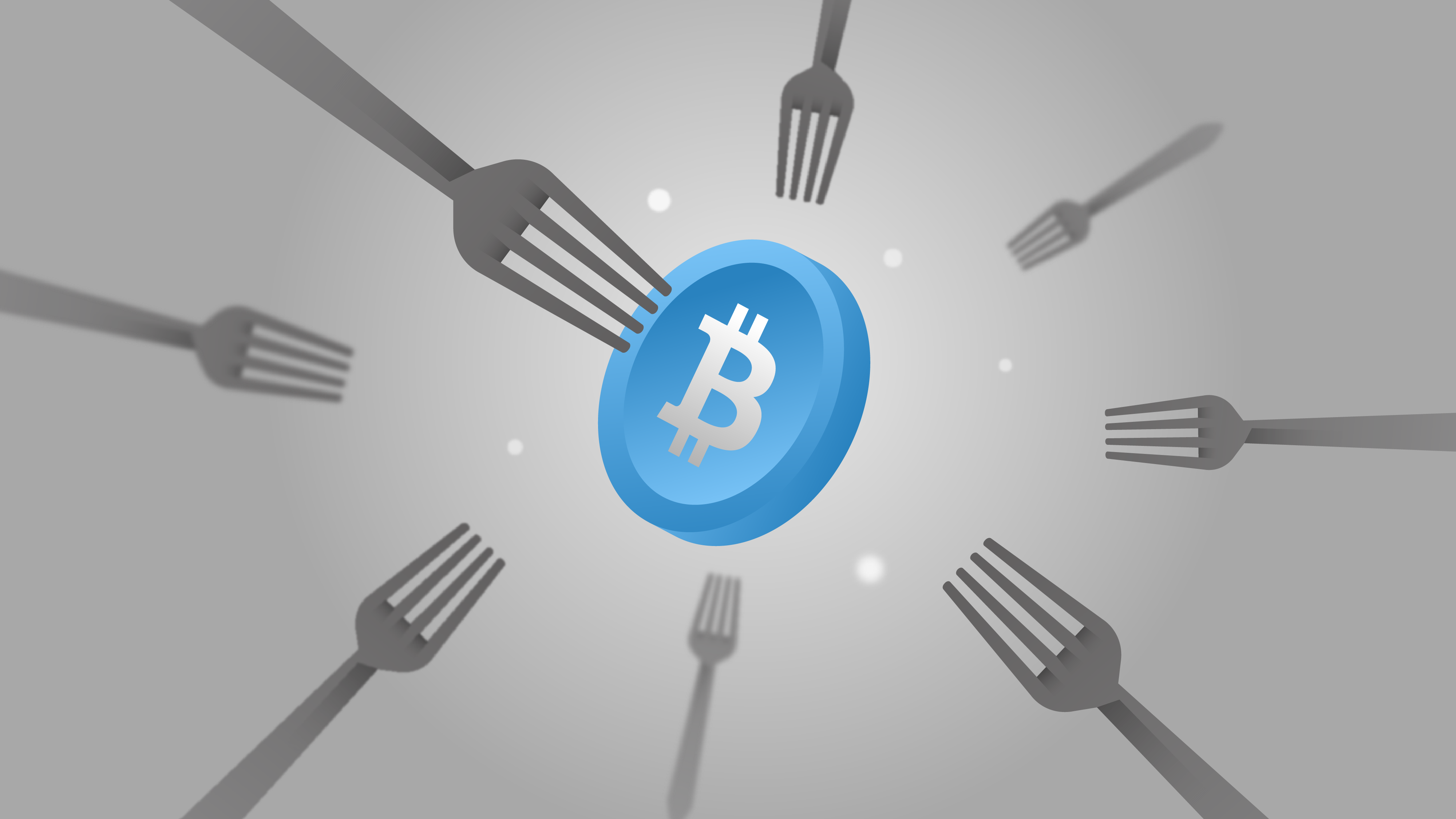 Understanding Forks and Their Implications